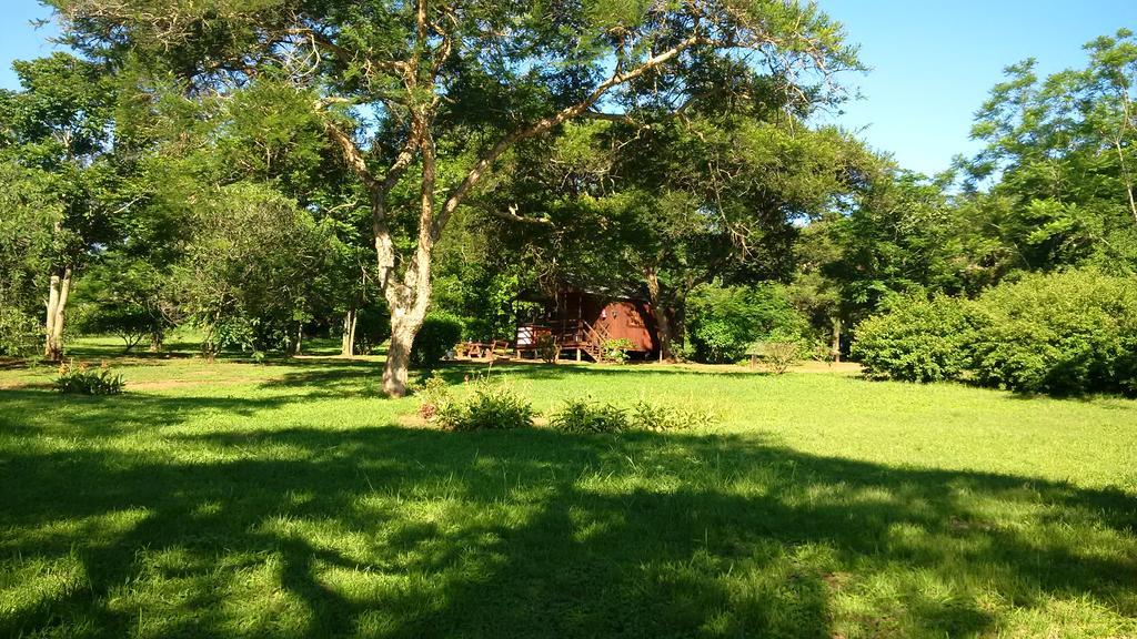 Thokozani Lodge White River Kültér fotó
